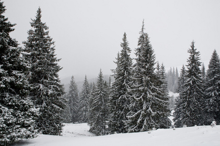 在喀尔巴阡山冬季风景