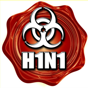 H1n1 概念背景