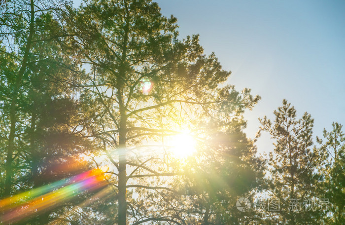 太阳的光照片-正版商用图片1n007y-摄图新视界
