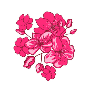 粉色樱花花