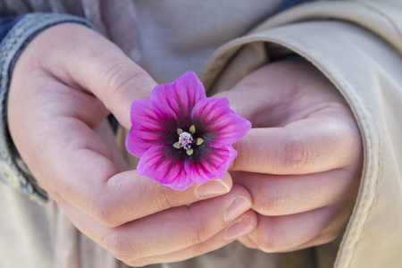 紫色手指海绵图片