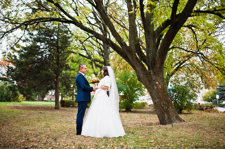 幸福新婚夫妇在爱在秋天的公园