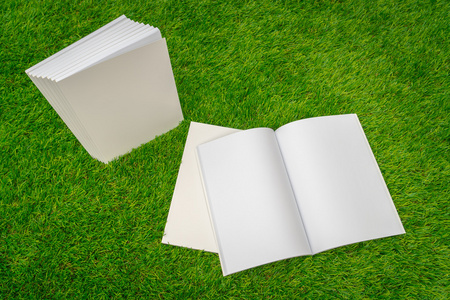 空白目录，杂志，书模拟在绿色草地上