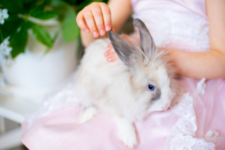 一只兔子的小女孩