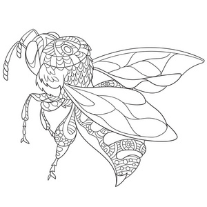 Zentangle 蜜蜂昆虫