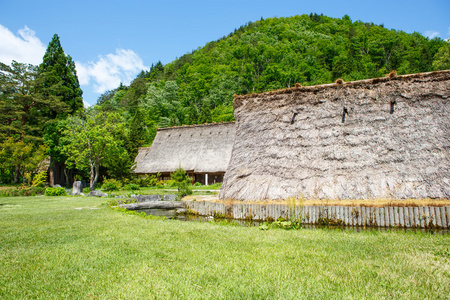 在夏天的历史日本村白川乡图片