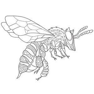 Zentangle 蜜蜂昆虫