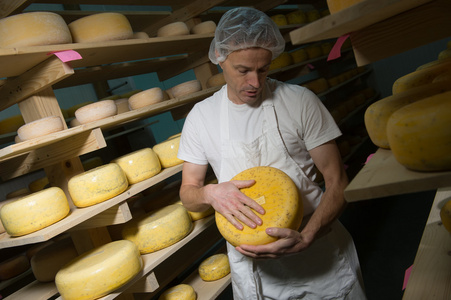 奶酪制造商清洗他工作室里的奶酪