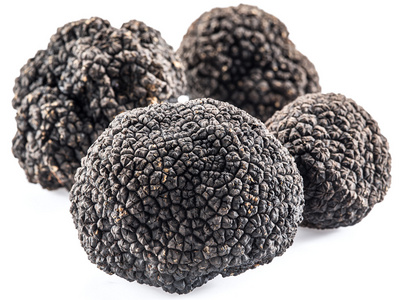 孤立在白色背景上的黑菌照片