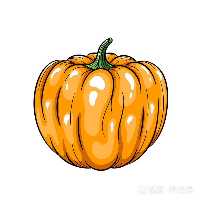 白色背景上的南瓜的矢量图