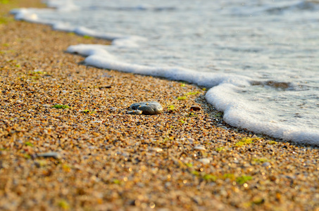 海浪冲刷海滩上的沙