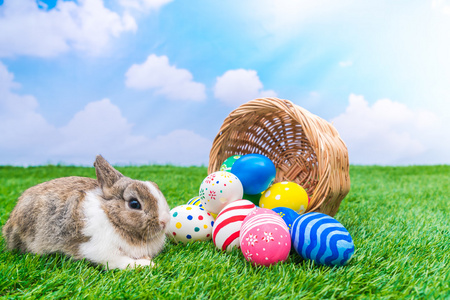 兔和复活节蛋