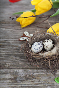 复活节蛋在木制背景上巢
