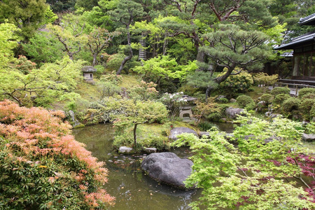 日本风格的花园