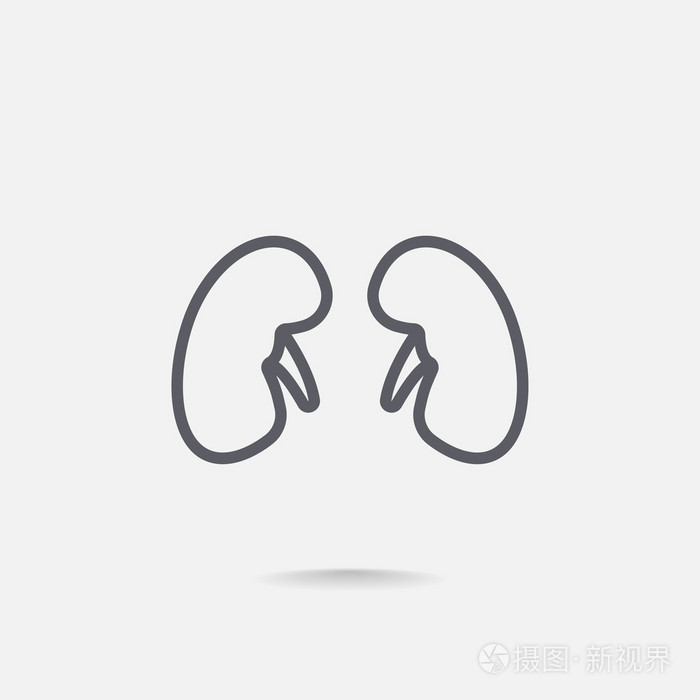肾脏器官图标