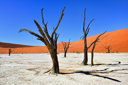 Deadvlei，苏斯。纳米比亚