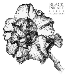 与花杜鹃花用黑色墨水用手工绘制的插图