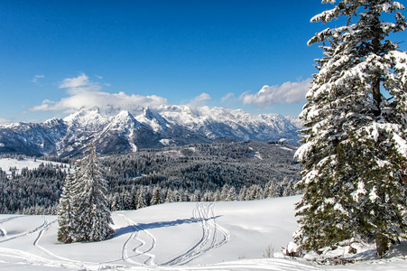 奥地利的冬景