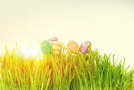 在草中隐藏的复活节彩蛋