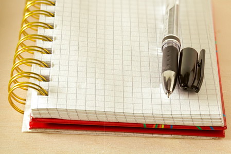 钢笔和笔记本在笼子里的一个页面