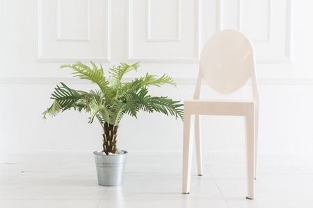 空椅子与花瓶植物