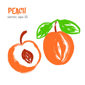 画了桃子的水果插图。 手绘画笔食物