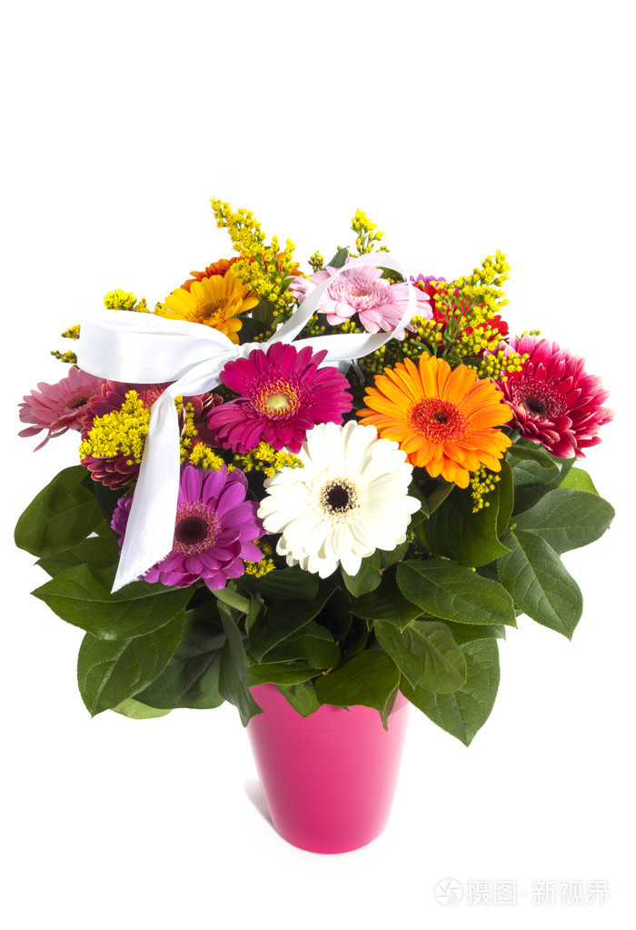 市创辉非洲菊花束