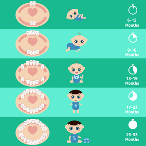 婴儿出牙图表照片