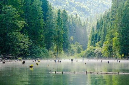 在特兰西瓦尼亚的红湖 Lacul 罗素