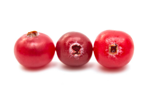 小红莓孤立的水果