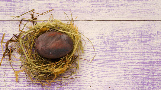 复活节彩蛋在鸟巢上的木制背景