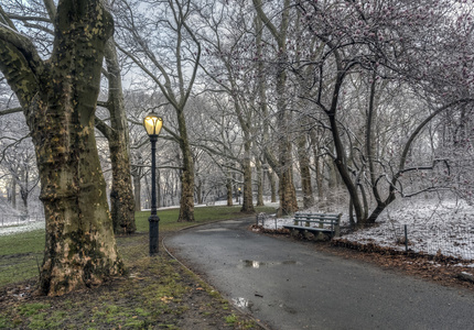中央公园后场暴风雪, 纽约城