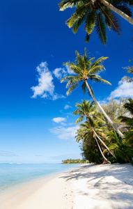 在南太平洋岛国异域美丽热带海滩