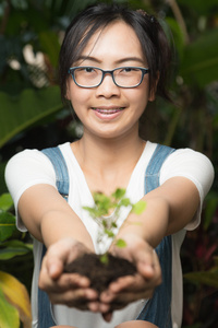 女人控股树