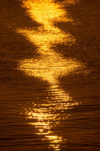 在灯火通明的日落湖水面