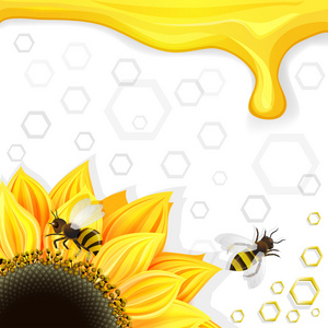 向日葵和蜜蜂在蜂巢的背景