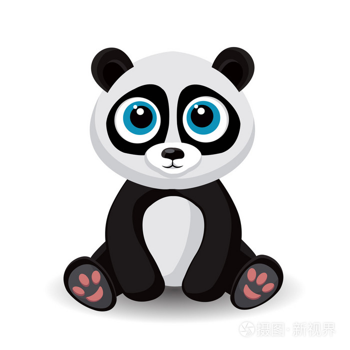 坐在白色背景上孤立的可爱小熊猫