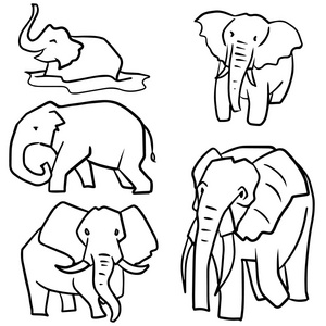 向量集的大象