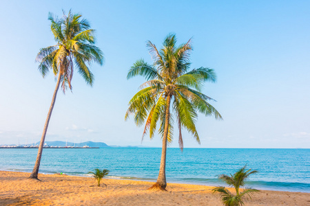 椰子树热带海滩上