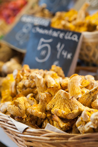 在西班牙，与 chantarellus 在前台的香菇市场