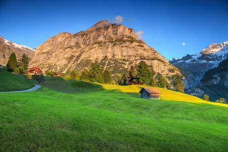 令人惊叹的有序的绿色的田野 高雪山，格林德沃，瑞士