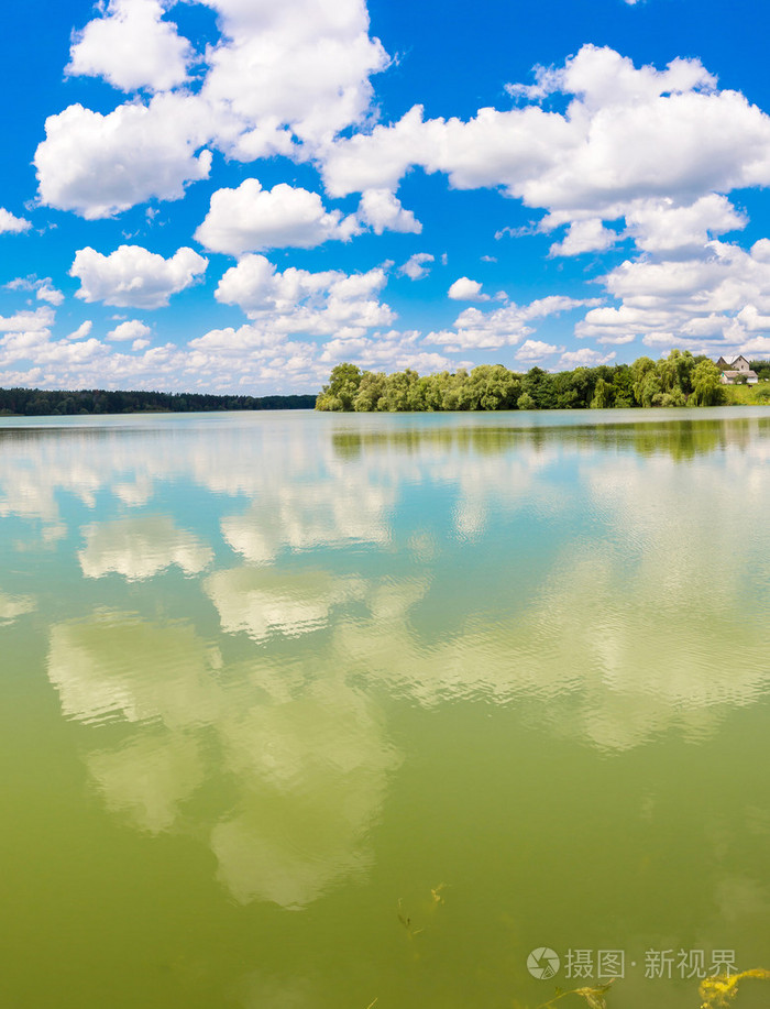 平静的池塘和水植物
