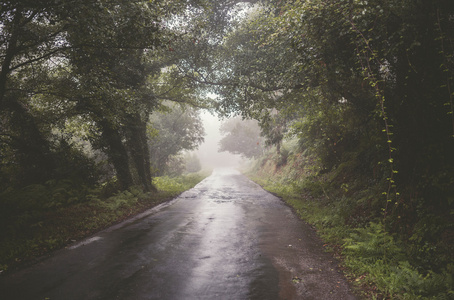 农村公路在有雾的一天