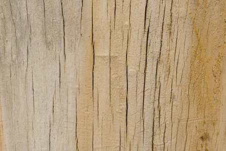 木制的质地，划痕和裂缝