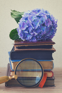 堆旧书籍与花