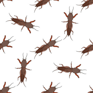 蝼蛄蝼蛄与欧洲蝼蛄的无缝模式.gryllotalpidae.手绘蝼蛄.矢量照片