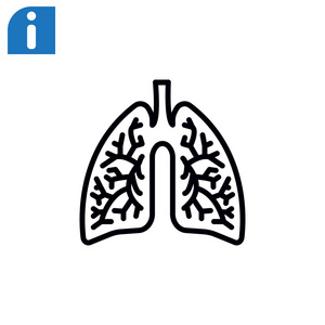 解剖肺图标