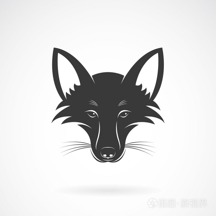 狐狸脸设计在白色背景上的矢量图像