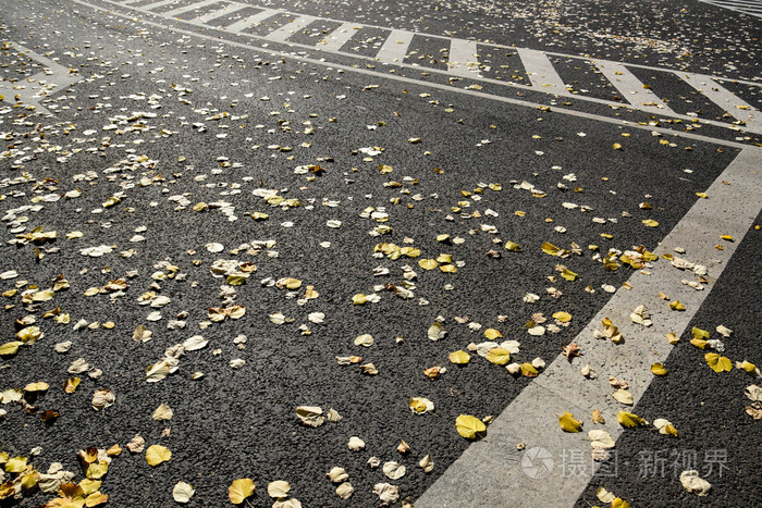 空荡荡的城市街道