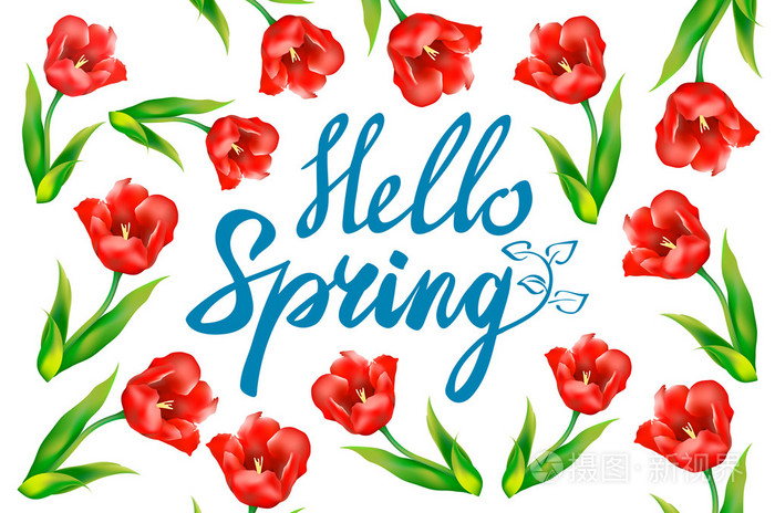 hello spring phrase vector lettering. hand drawn calligraphy, wh